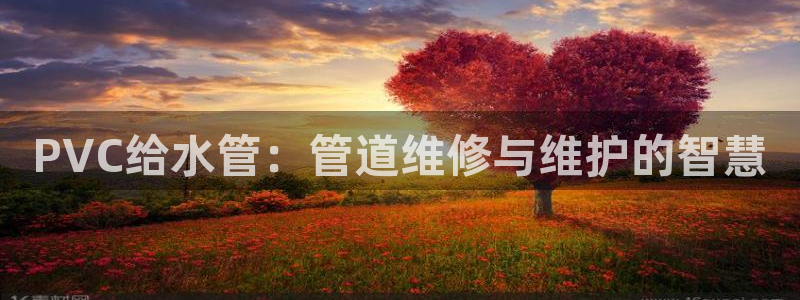 天辰娱乐论坛