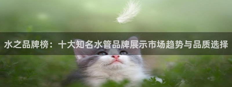 天辰娱乐电话