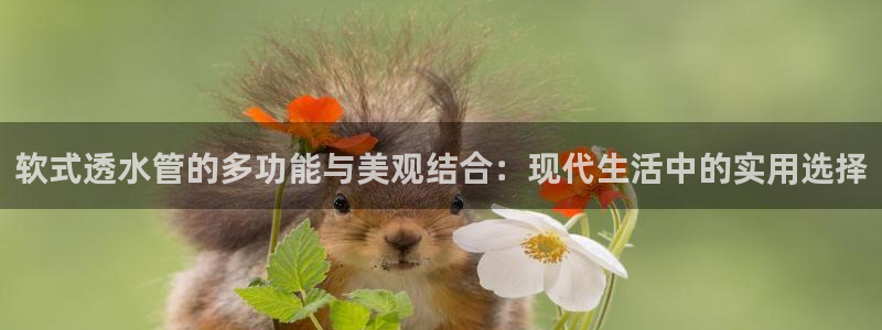 天辰娱乐信誉
