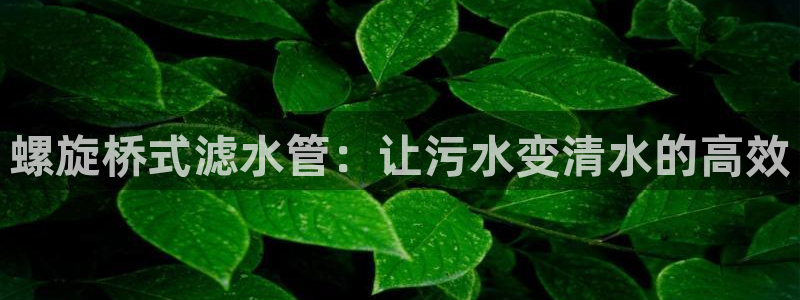 天辰娱乐股东