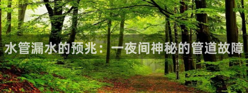 天辰娱乐 主管