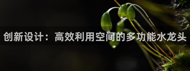 天辰娱乐招商