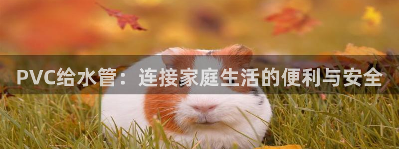 天辰娱乐557448