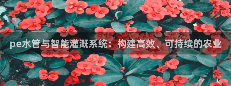 大同天辰娱乐