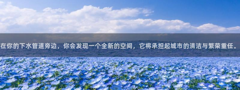天辰娱乐60447