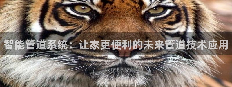 天辰娱乐厕所