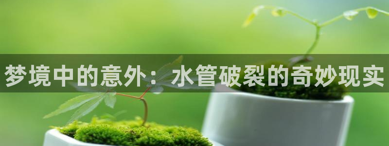 天辰娱乐957807