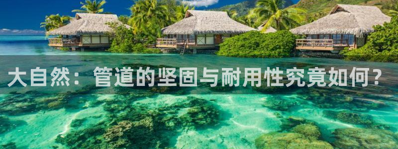 天辰娱乐游戏
