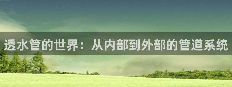 天辰娱乐说