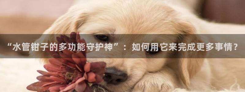 天辰娱乐赌博