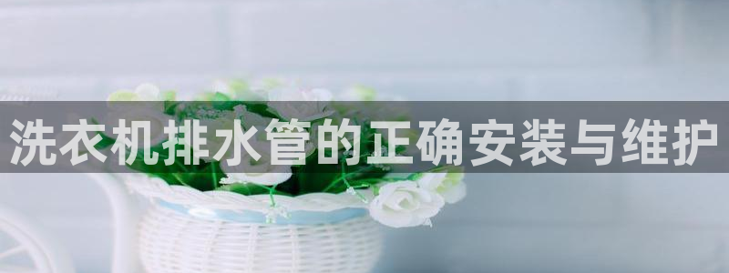 天辰娱乐平台地址
