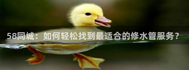 天辰娱乐下载