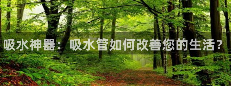 天辰娱乐咋样