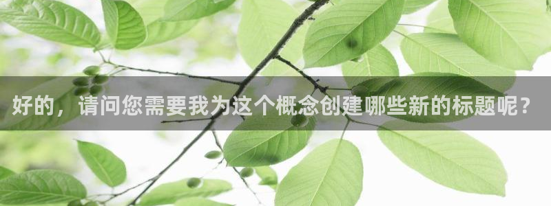 南京天辰娱乐