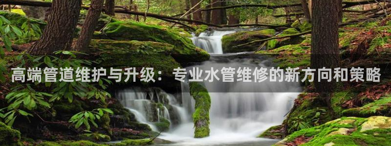 天辰娱乐 44516