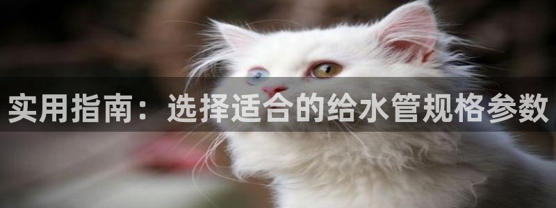 天辰娱乐ttf
