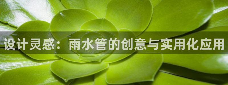 天辰线上娱乐