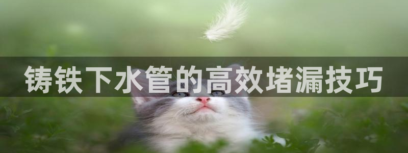 天辰娱乐反水