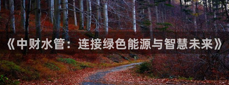 天辰娱乐 主管