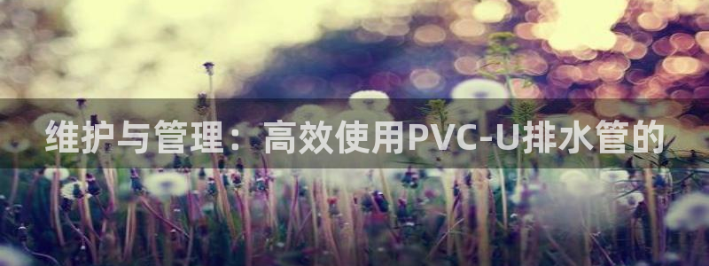 天辰娱乐股东