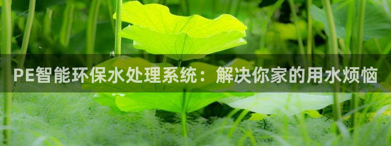 天辰娱乐股东