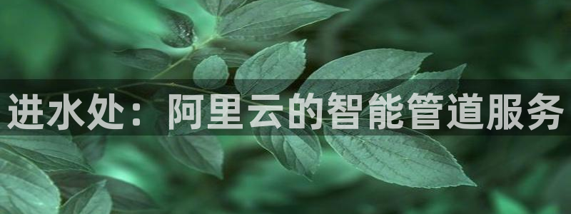 天辰娱乐登陆平台