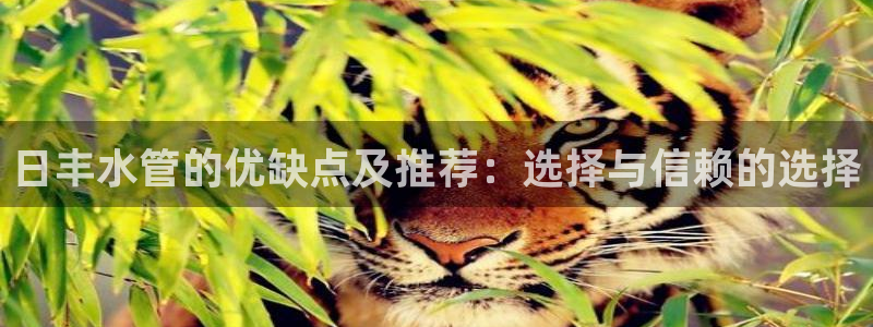 天辰娱乐内部