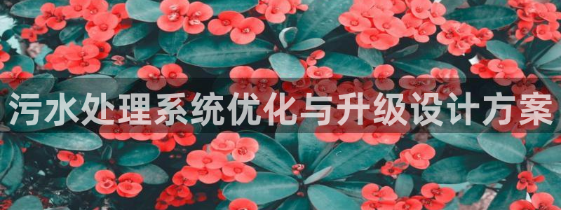天辰娱乐957807