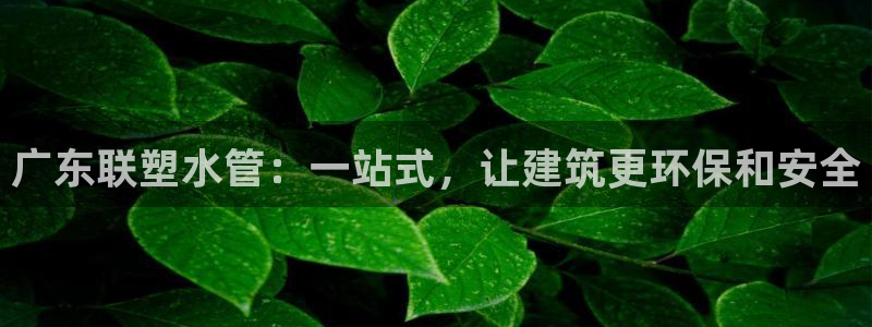 天辰娱乐彩票