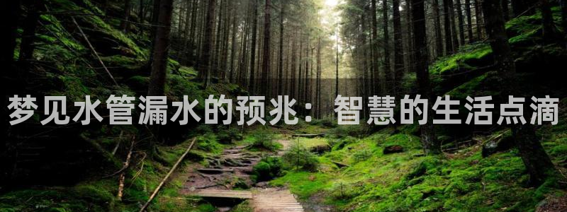 天辰娱乐官网平台入口