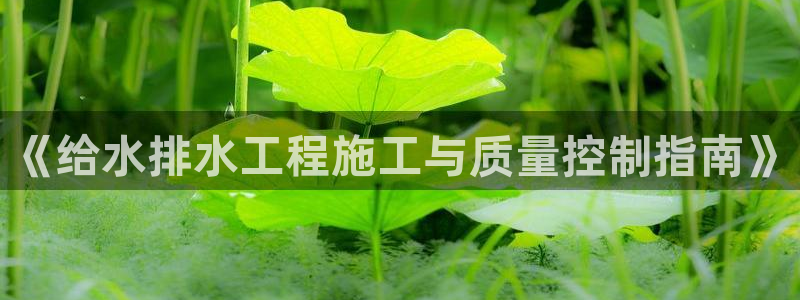 天辰娱乐新