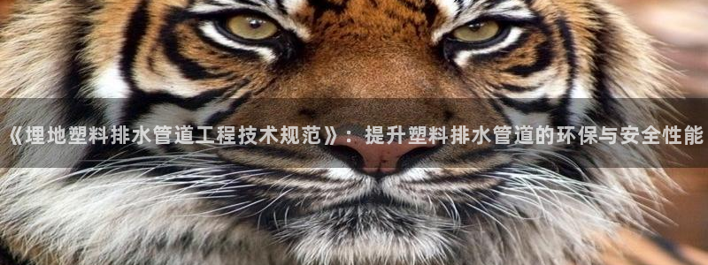 天辰娱乐文化