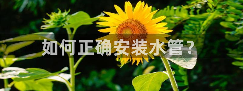 天辰娱乐平台