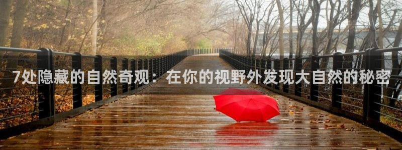 天辰娱乐会所