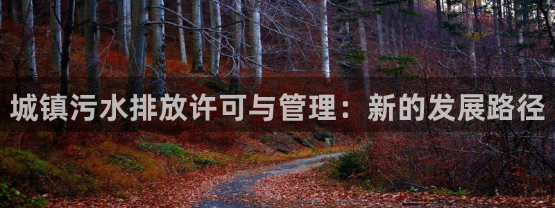 天辰娱乐游客