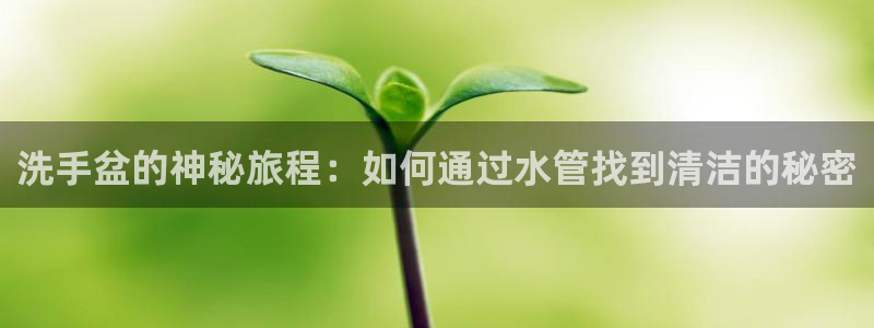 天辰娱乐 . 鱼刺