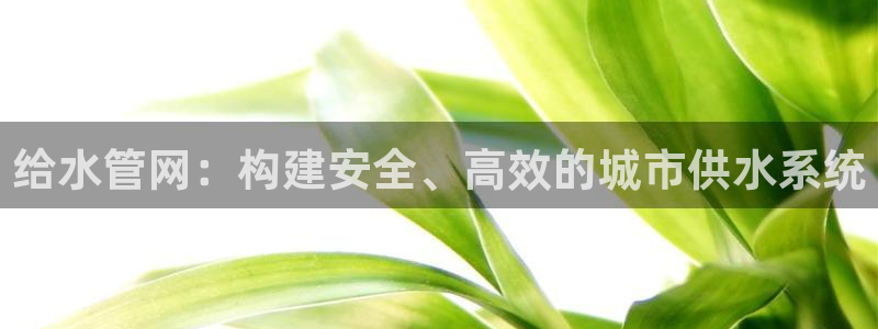 天辰娱乐代理