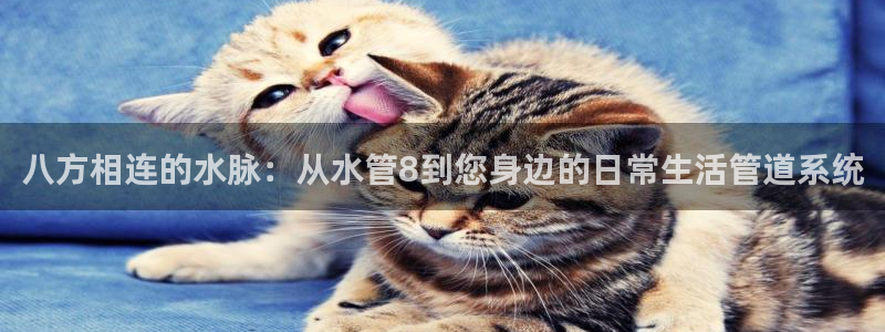 天辰娱乐所