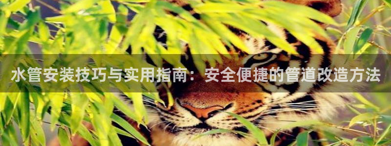 天辰娱乐总管