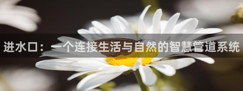 下载天辰娱乐