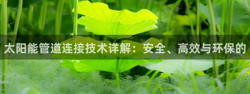 天辰娱乐文案