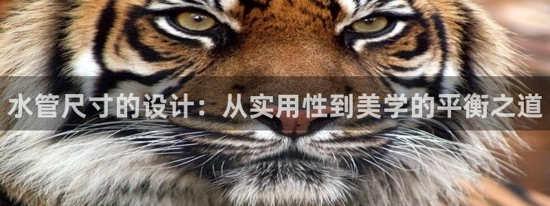 天辰娱乐首选