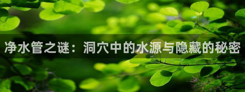 天辰娱乐股东