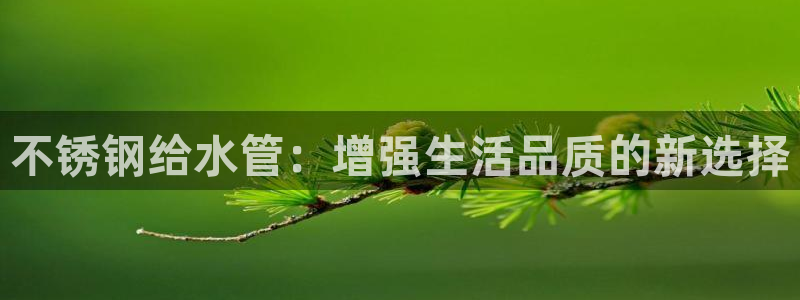 天辰娱乐_ 18113