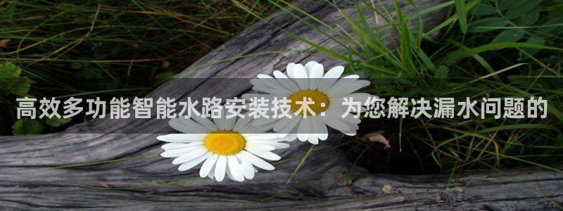 天辰娱乐