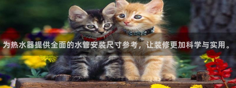 天辰娱乐7天22650