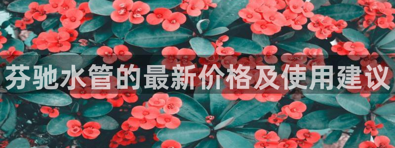 天辰娱乐直属