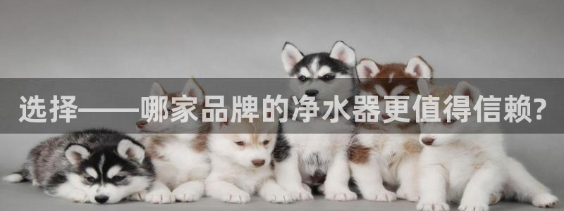 天辰娱乐输了