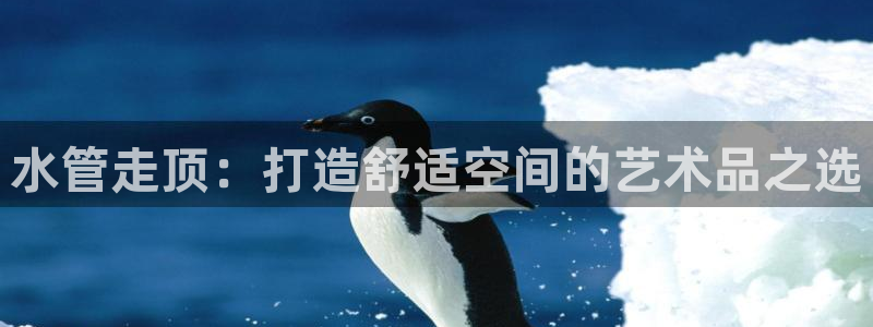 天辰娱乐老板