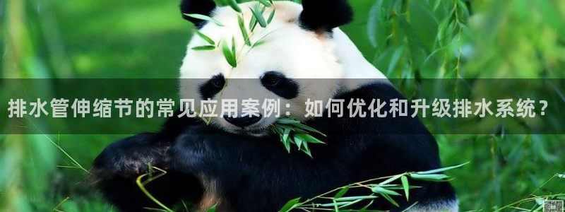 天辰娱乐下载链接